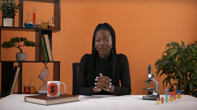 Population and Ecology: Social Organi...