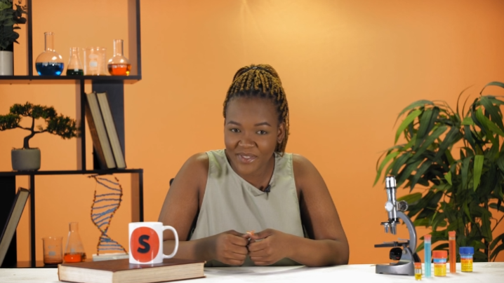 Importance of photosynthesis 