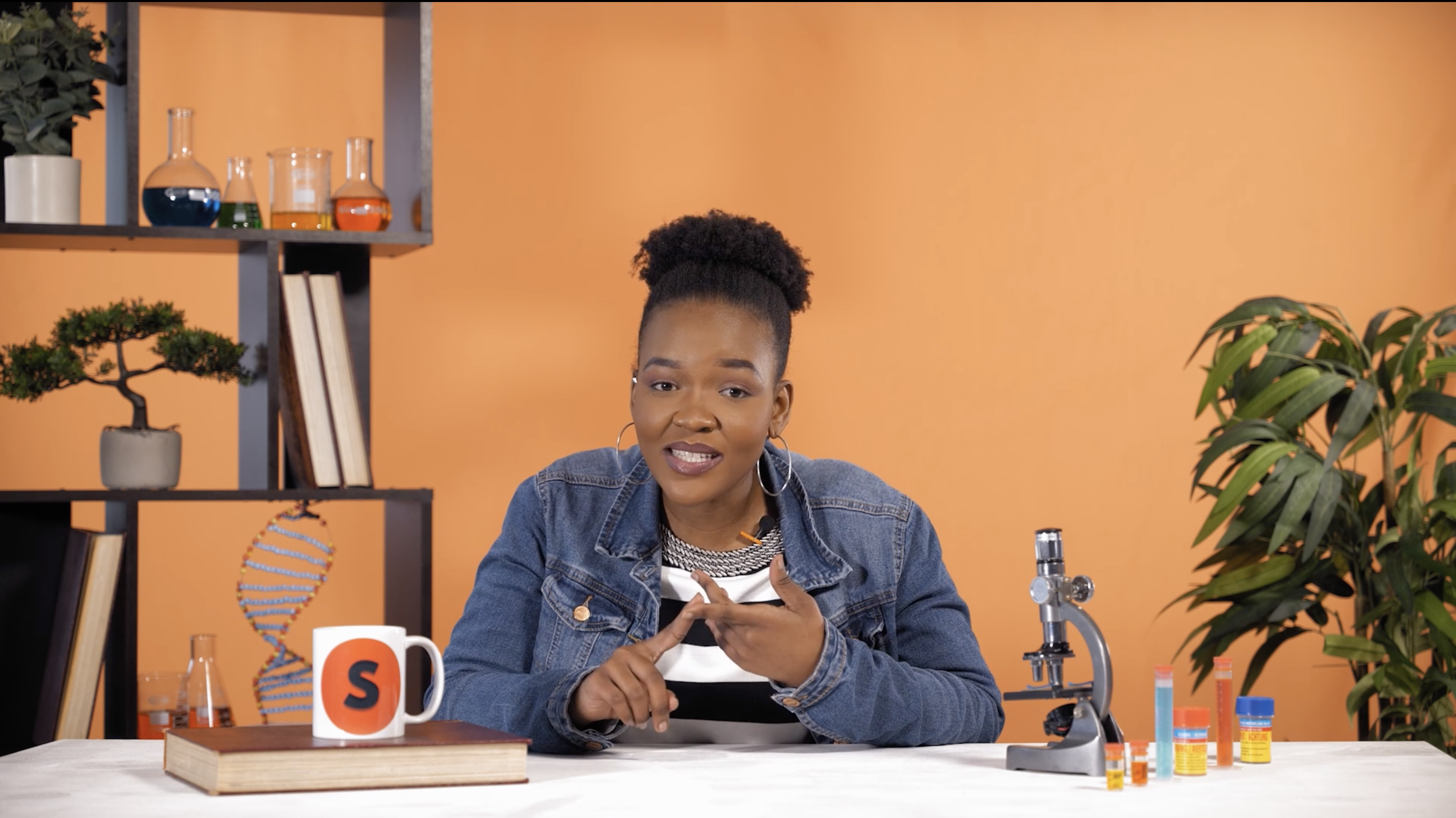 The lymphatic system 