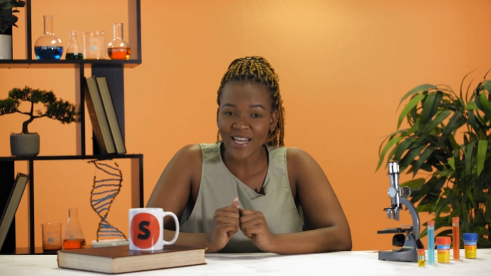 Absorption in the digestive system