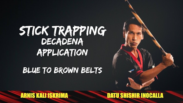 29 DECADENA STICK TRAPPNG APPLICATION BLUE TO BROWN