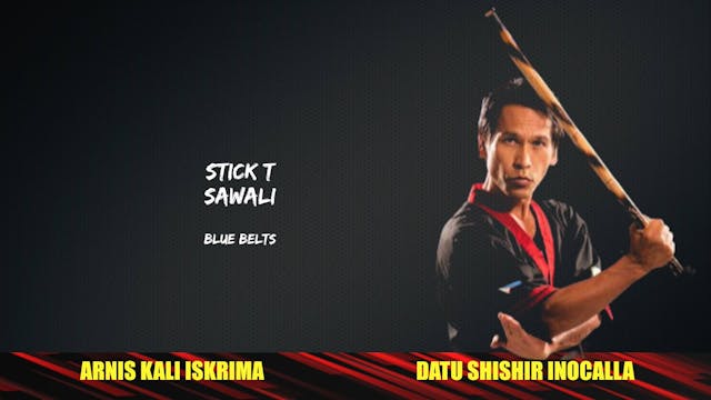 26 SAWALI STICK TECHNIQUES BLUE