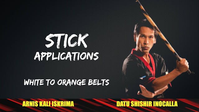 05 STICK APPLICATIONS WHITE TO ORANGE