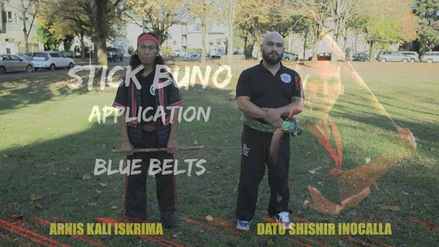 43 STICK BUNO APPLICATION BLUE