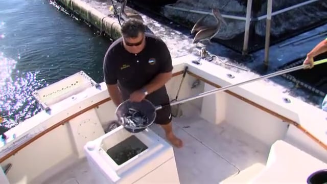SF526 Small Boat Fishing