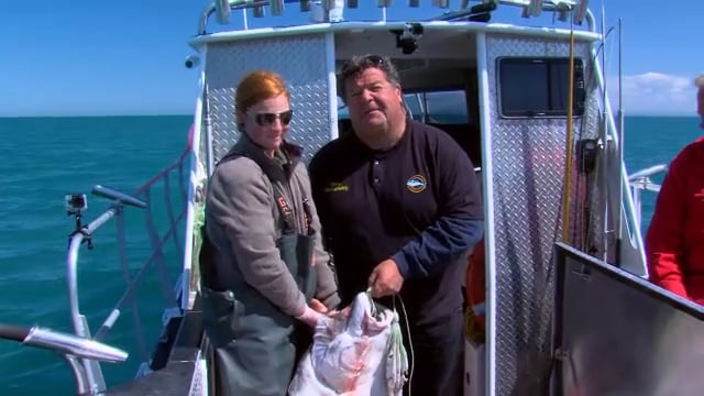 529 Deep Creek Lodge - Part II