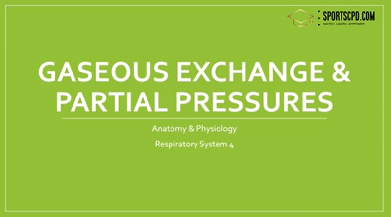5. Gaseous exchange and partial pressures