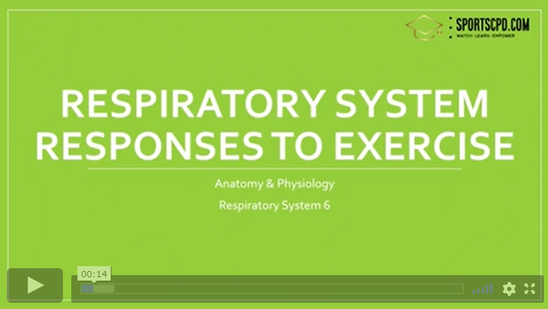 7. Respiratory system responses to exercise