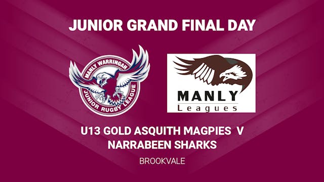 U13 GOLD NARRABEEN SHARKS V ASQUITH MAGPIES