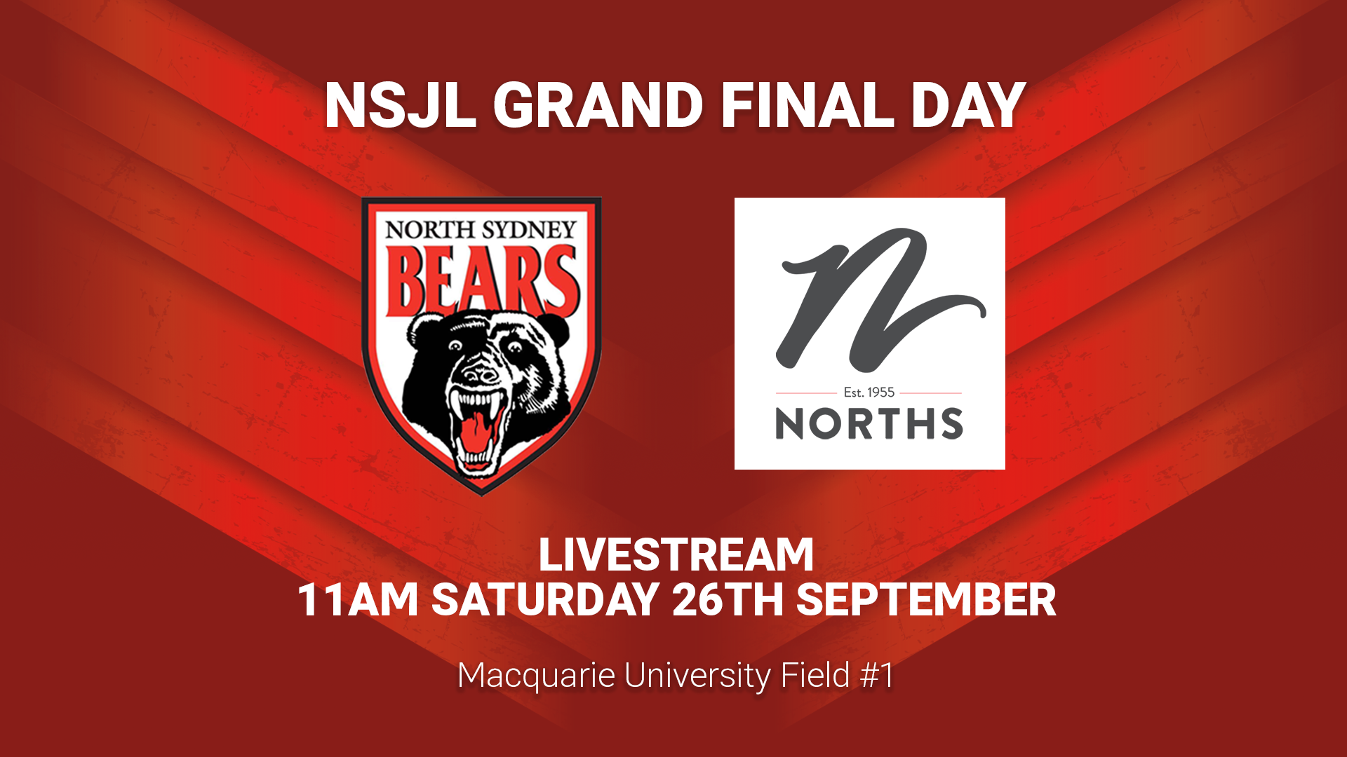Norths Juniors Grand Final Day - Field 1