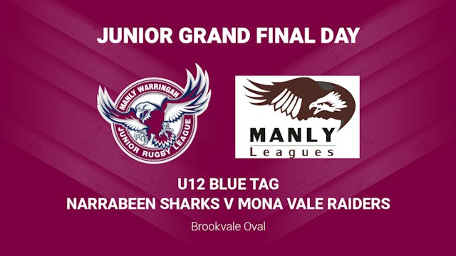 U12 BLUE TAG NARRABEEN SHARKS V MONA VALE RAIDERS