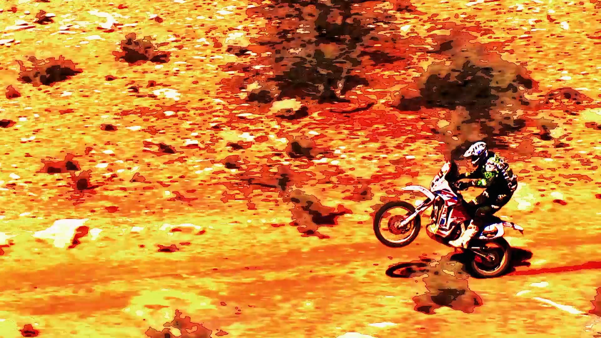 Australasian Safari 2012