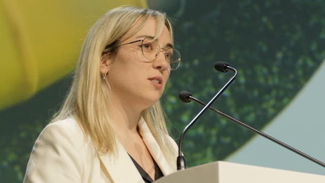 Estadio Santiago Bernabéu: Devising a...