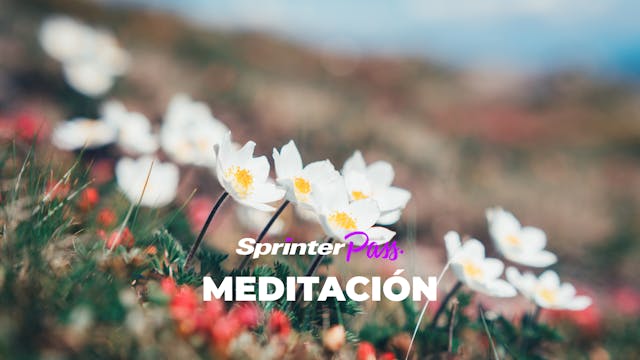 Meditación: Sonrisa Interior | 10 min