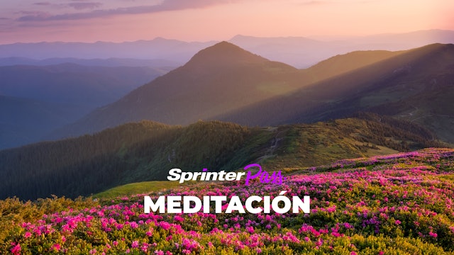 Meditación: Rindiéndonos al cuerpo | 10 min