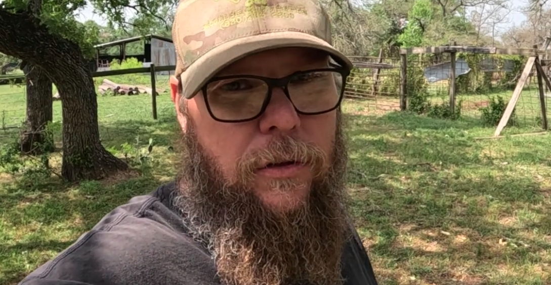 Where do you shoot a cow in the head to butcher?