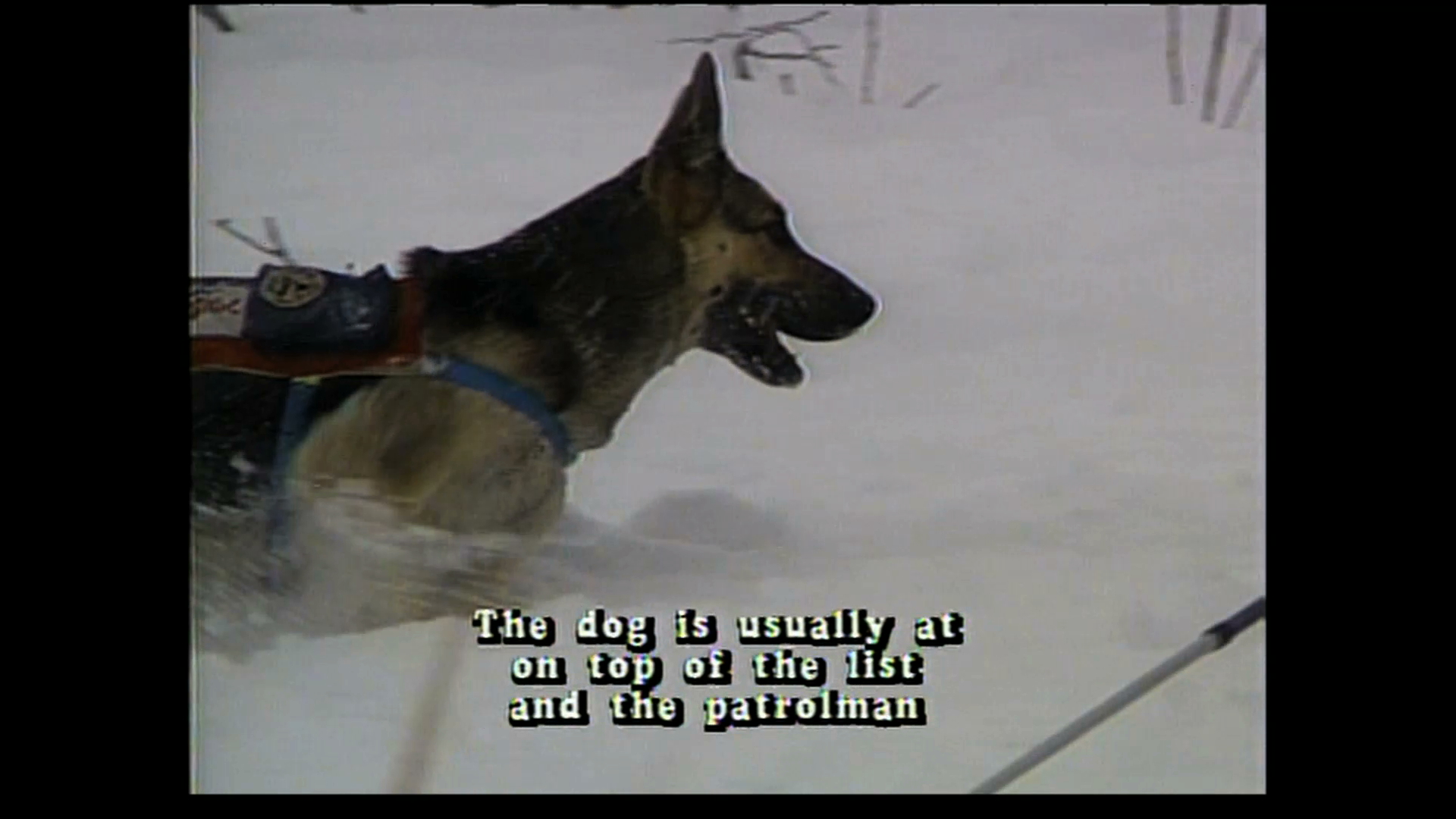 A Partnership With Man 012