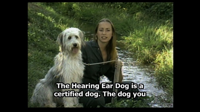 Hear Dog 06