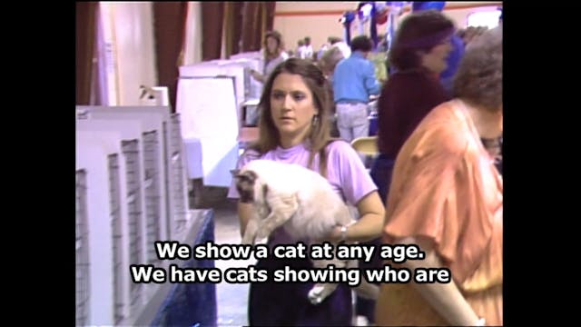 Hear, Kitty Kitty 10