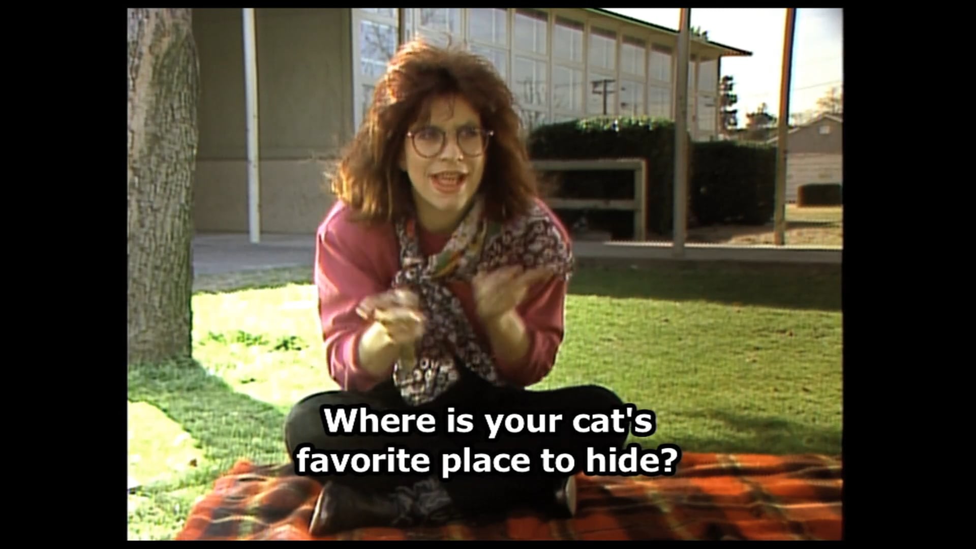 Hear, Kitty Kitty 01