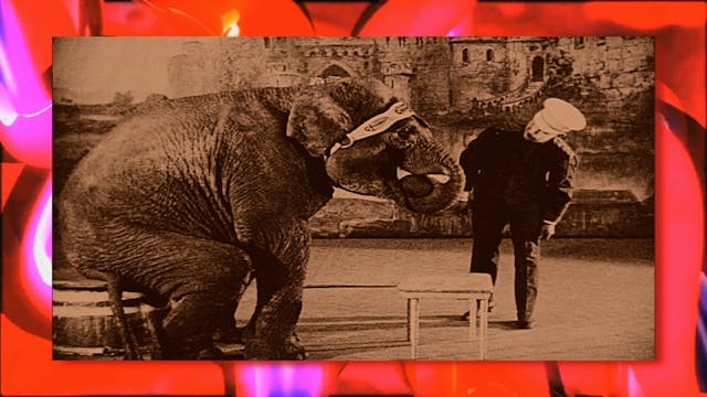 Circus Fun 006R