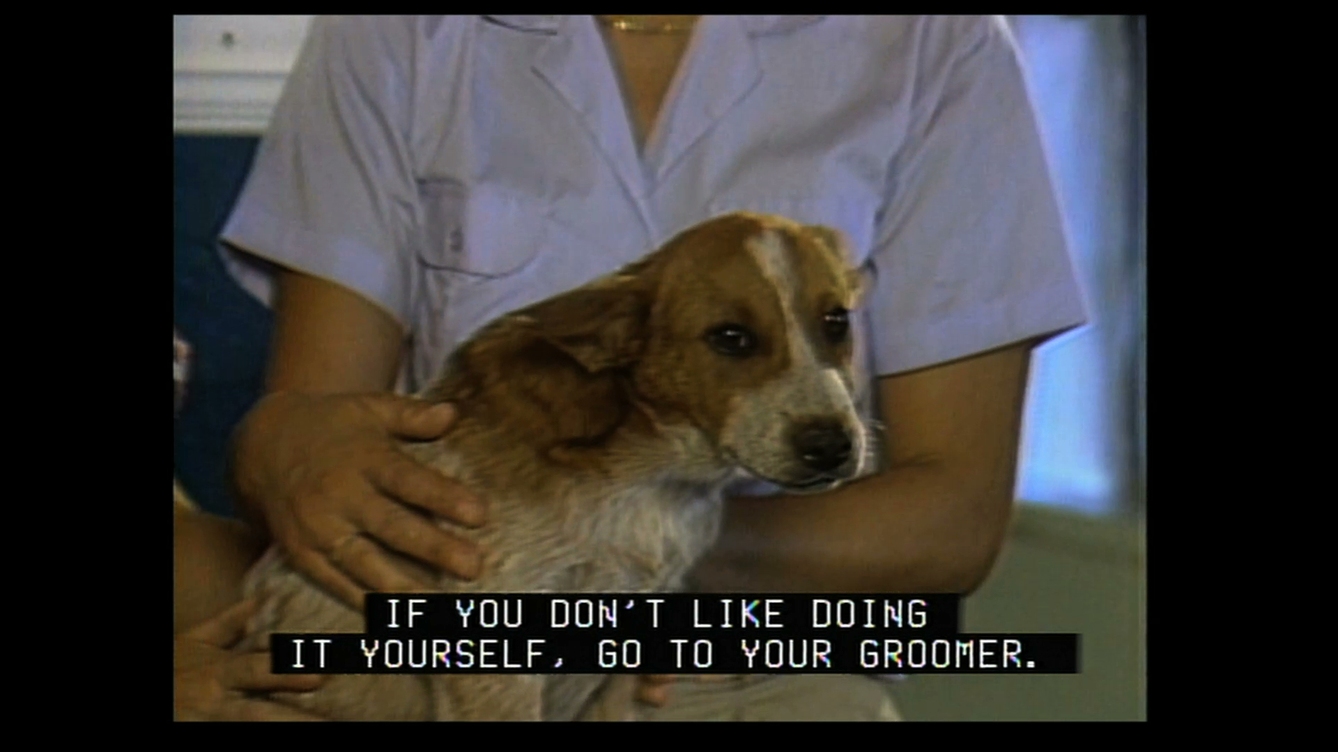 It's A Dog's Life 02