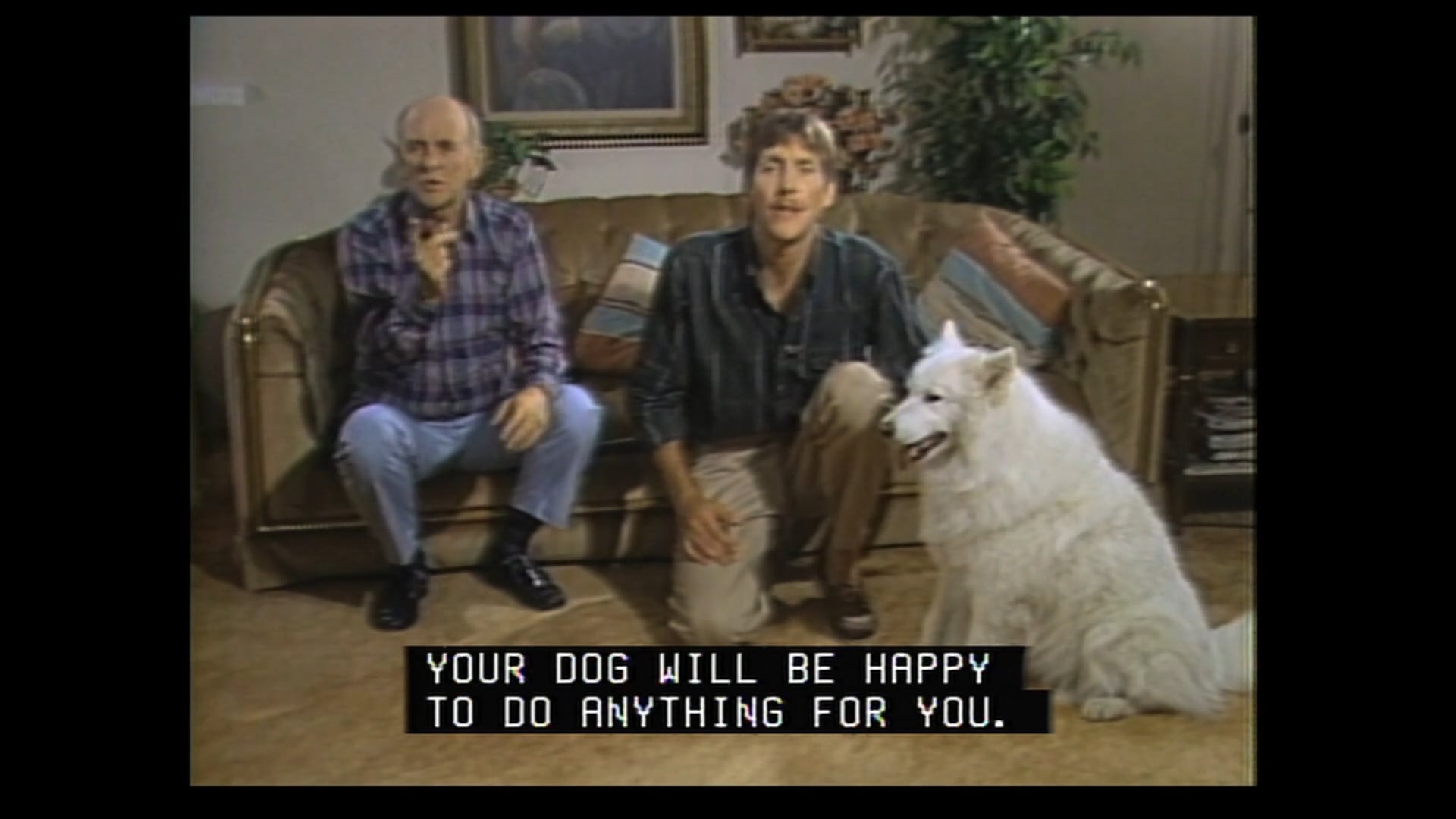 It's A Dog's Life 13