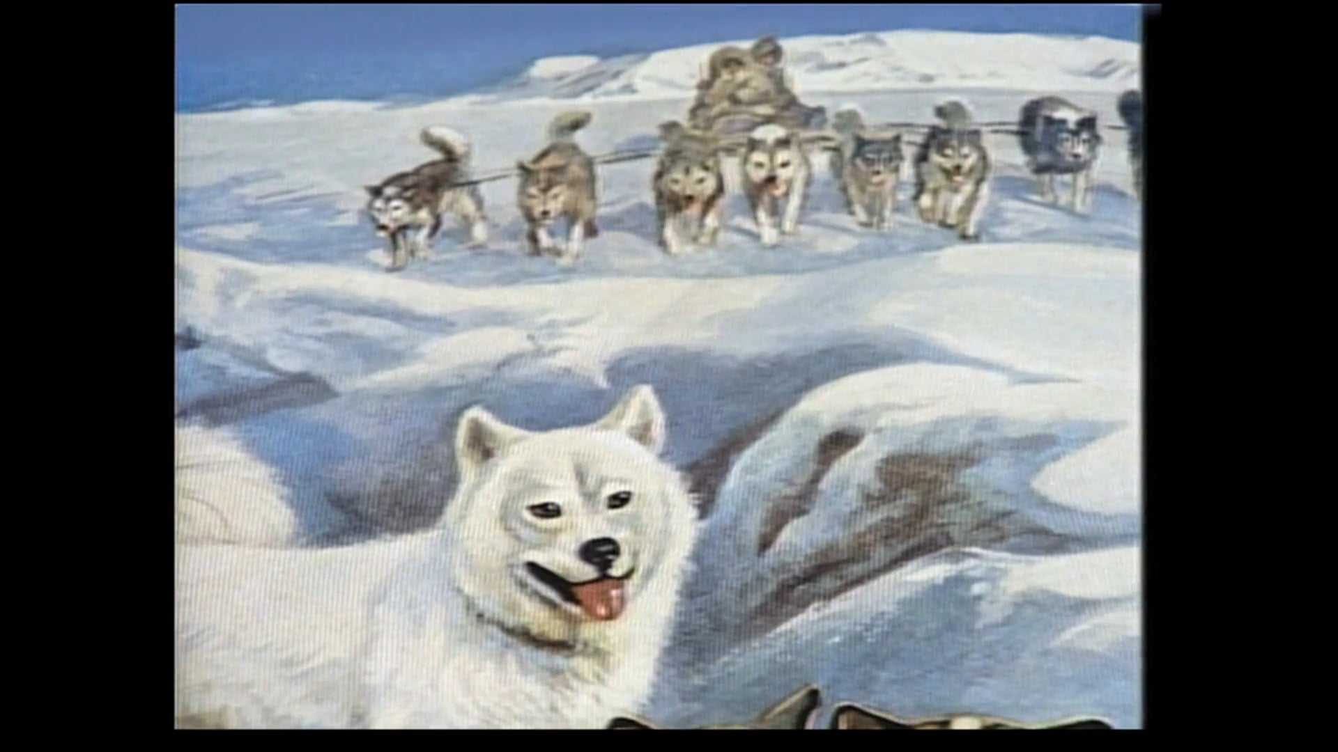 A Partnership With Man 010