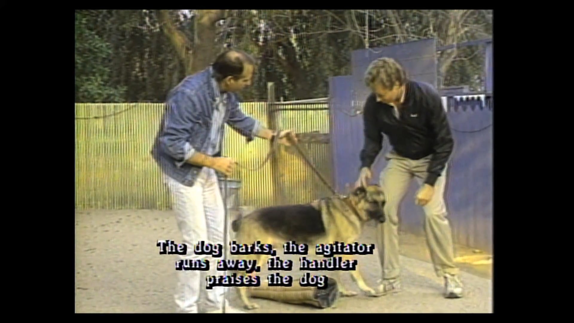 A Partnership With Man 013