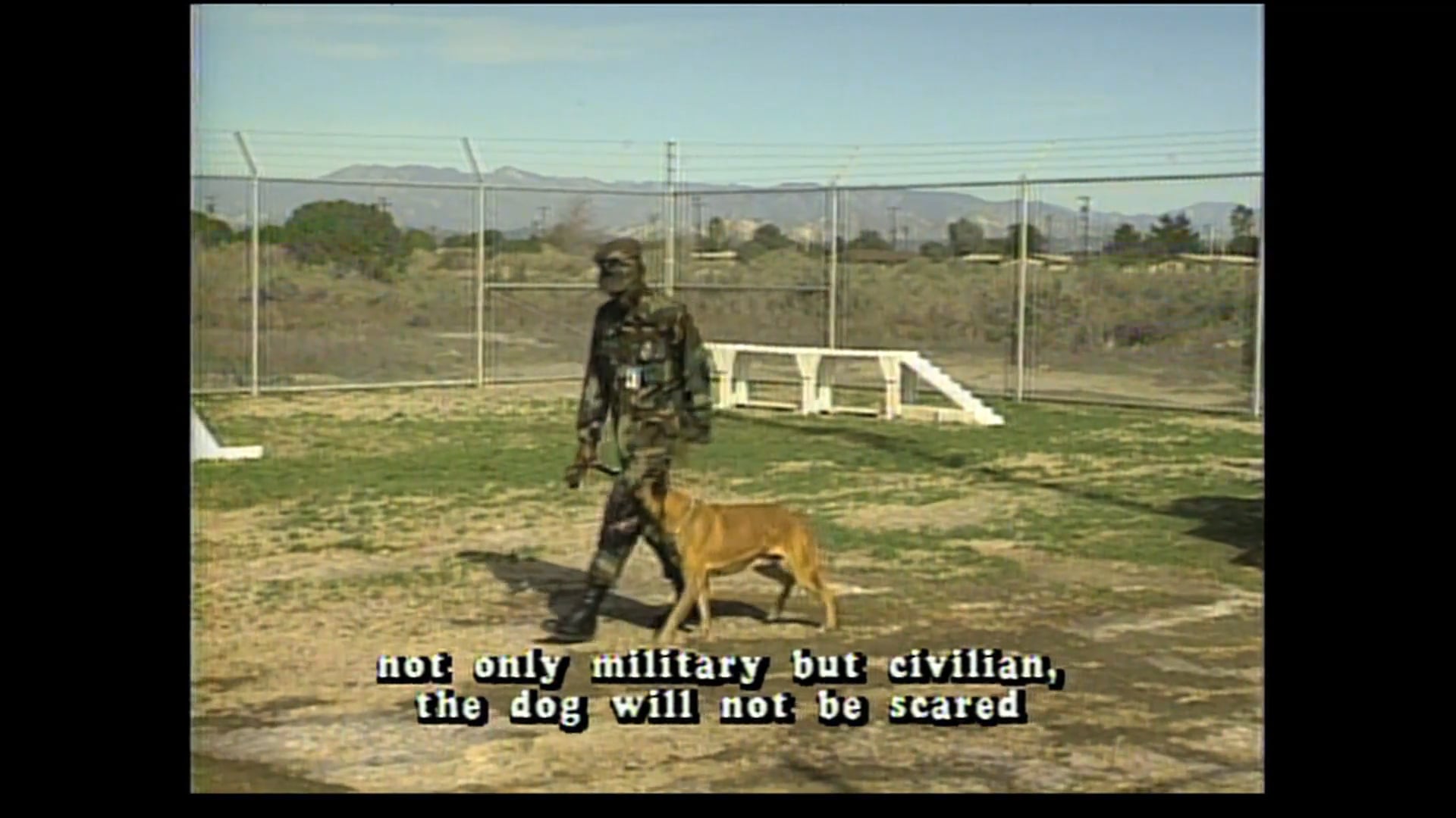 A Partnership With Man 011