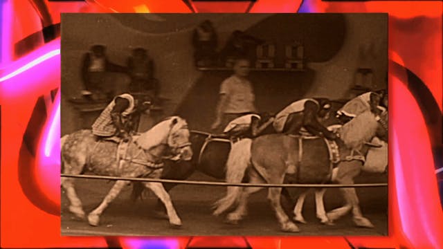 Circus Fun 016R