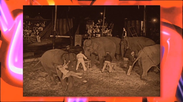 Circus Fun 014R