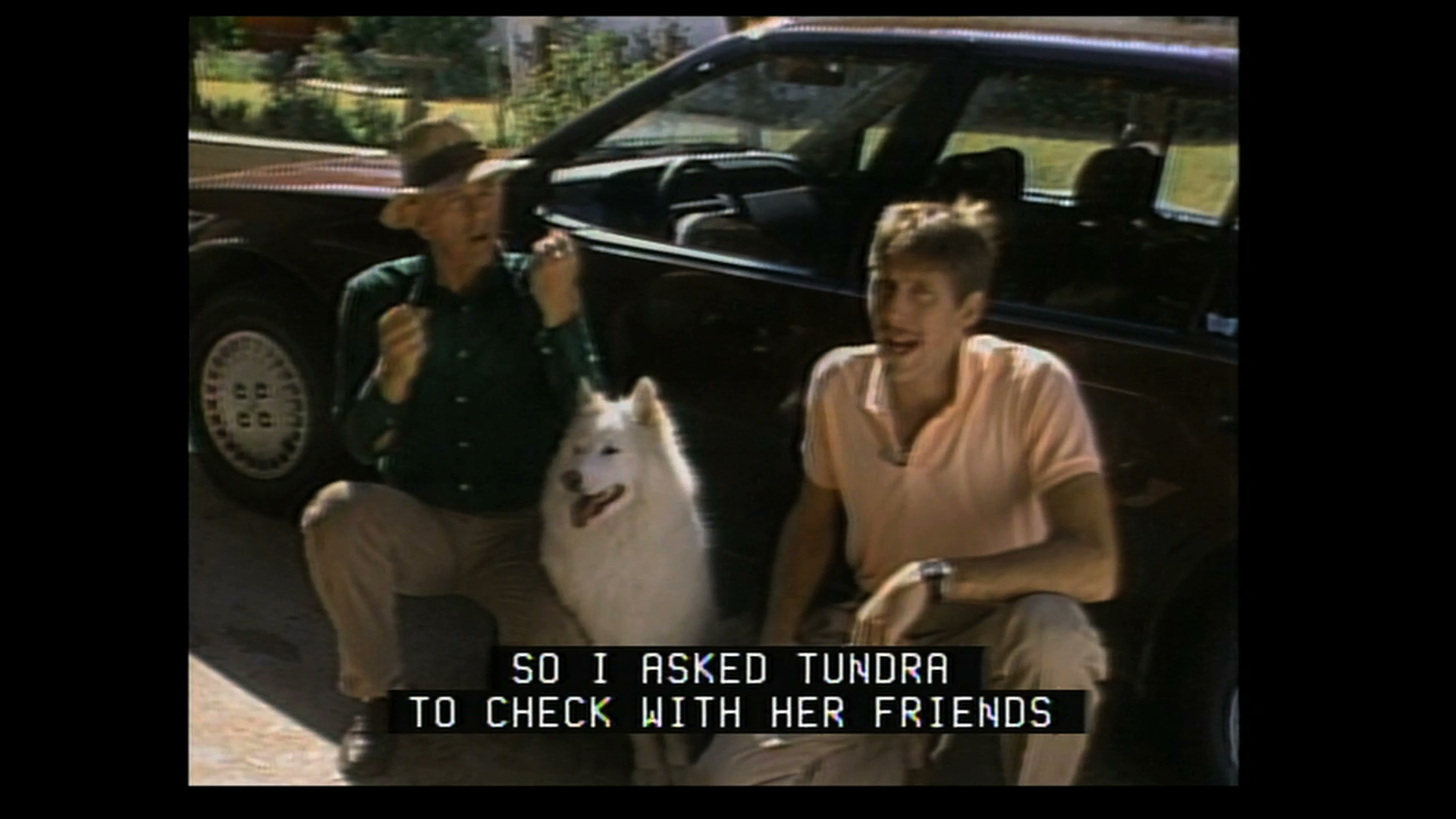 It's A Dog's Life 04