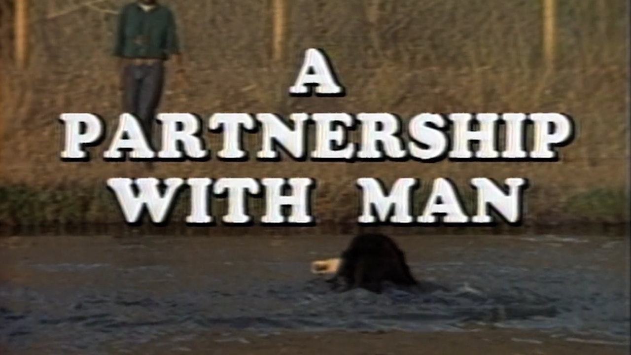A Partnership with Man