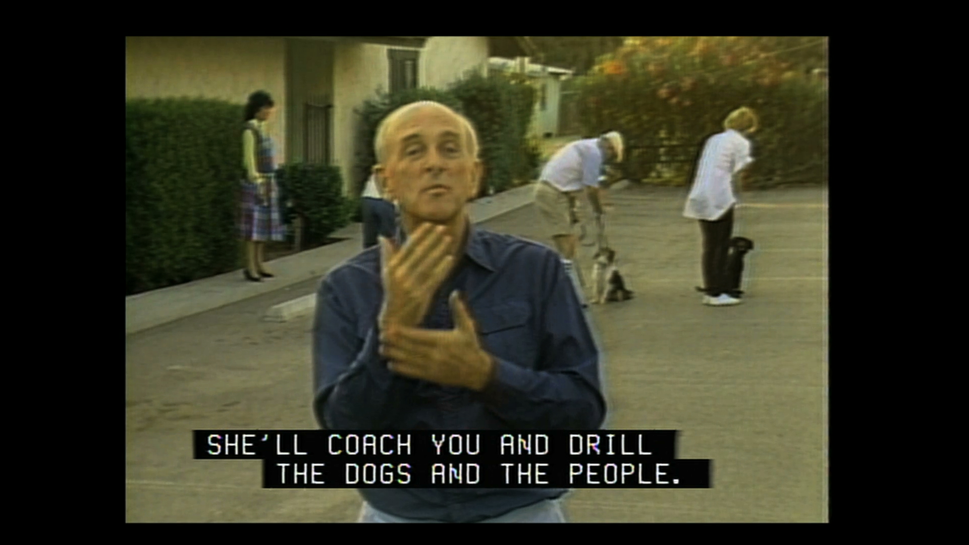 It's A Dog's Life 03