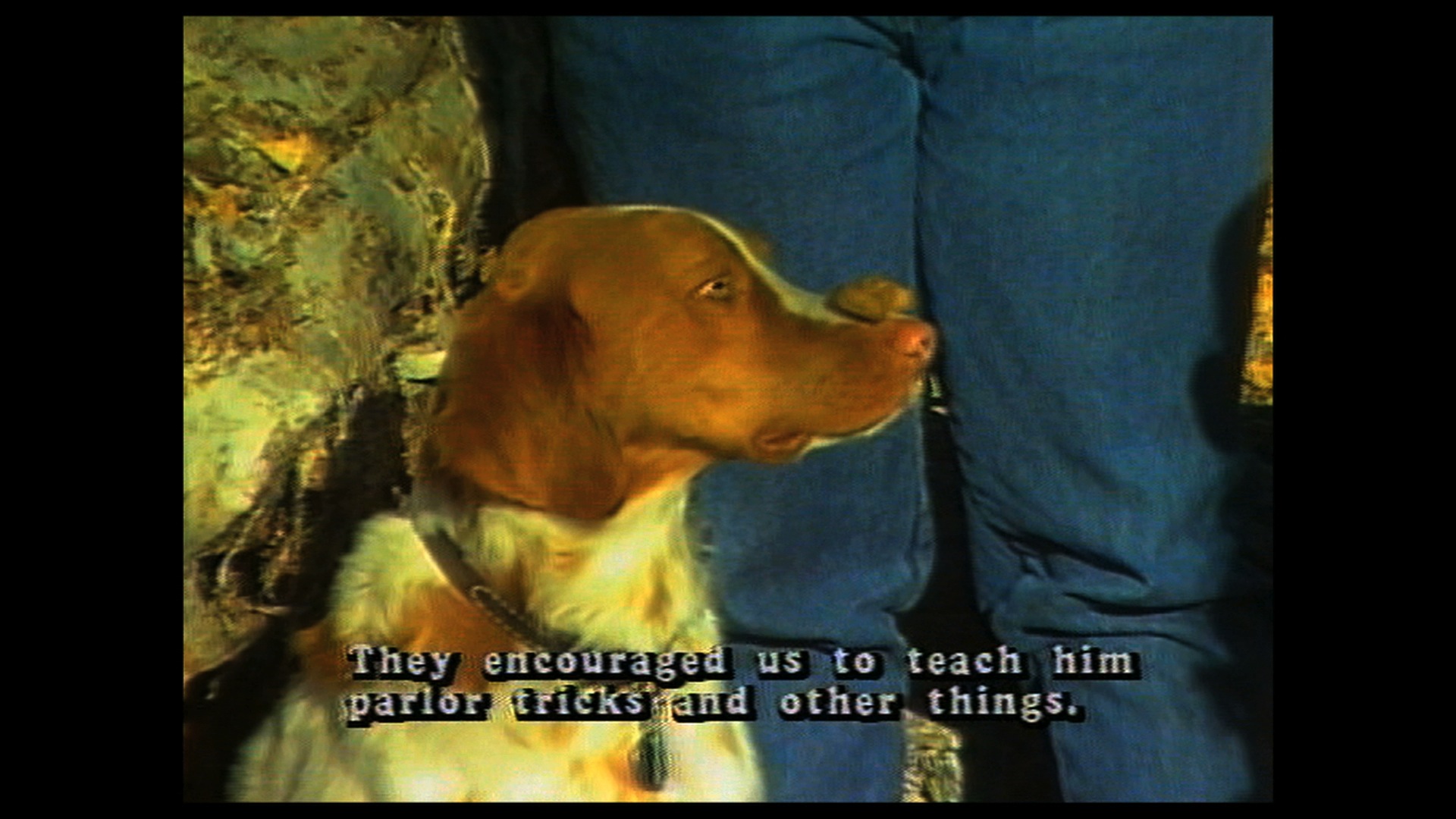 A Partnership With Man 001