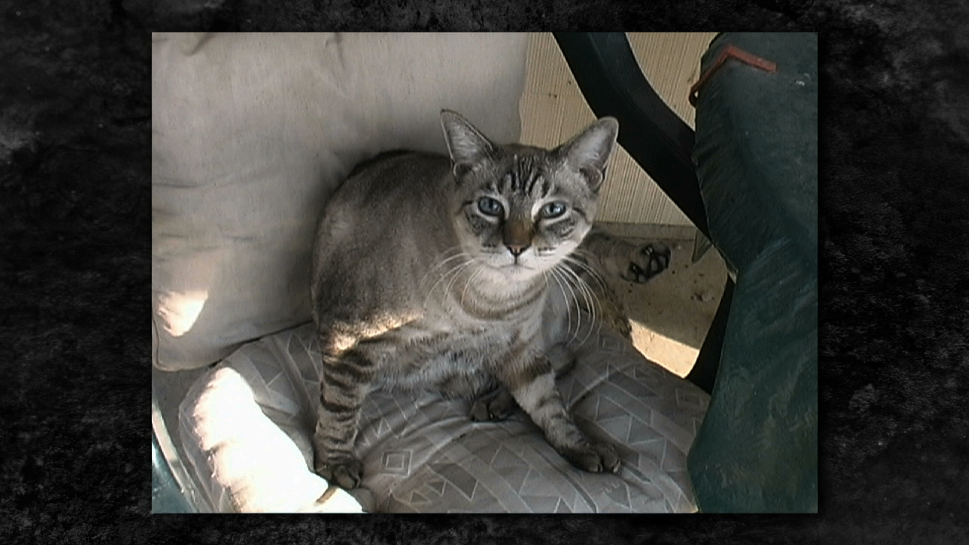 Access Network Special Presentation 006