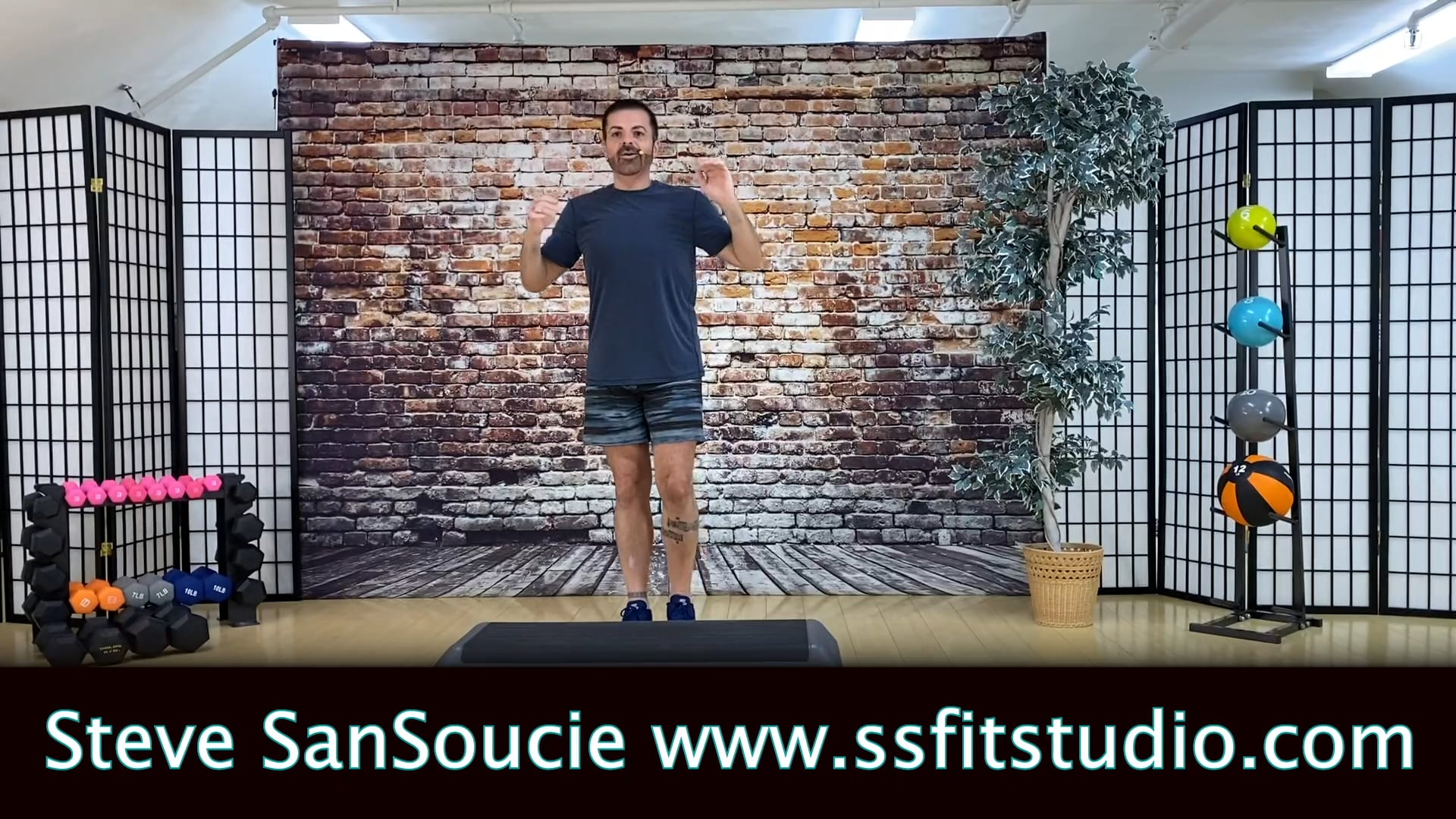 Step Aerobic Workout Zoom Aug 15 2020