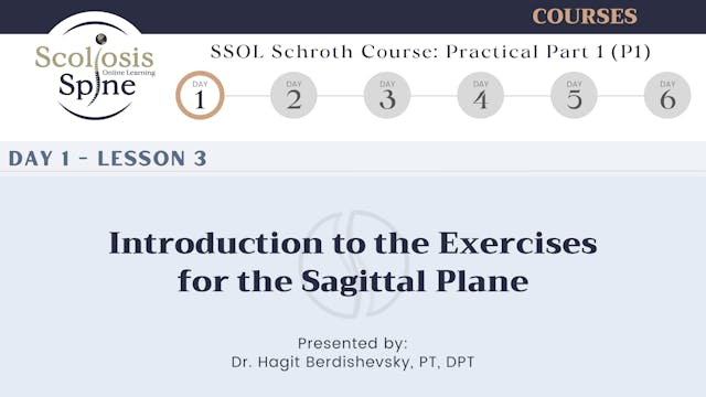 D1-3 Introduction to the Exercises for the Sagittal Plane