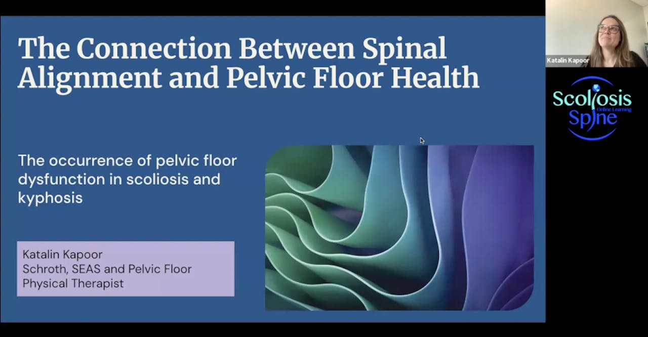 Connection Between Spinal Alignment & Pelvic Floor