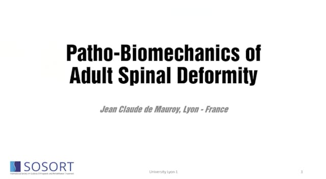 SSOL-Lyon Method Certification: Tutor...