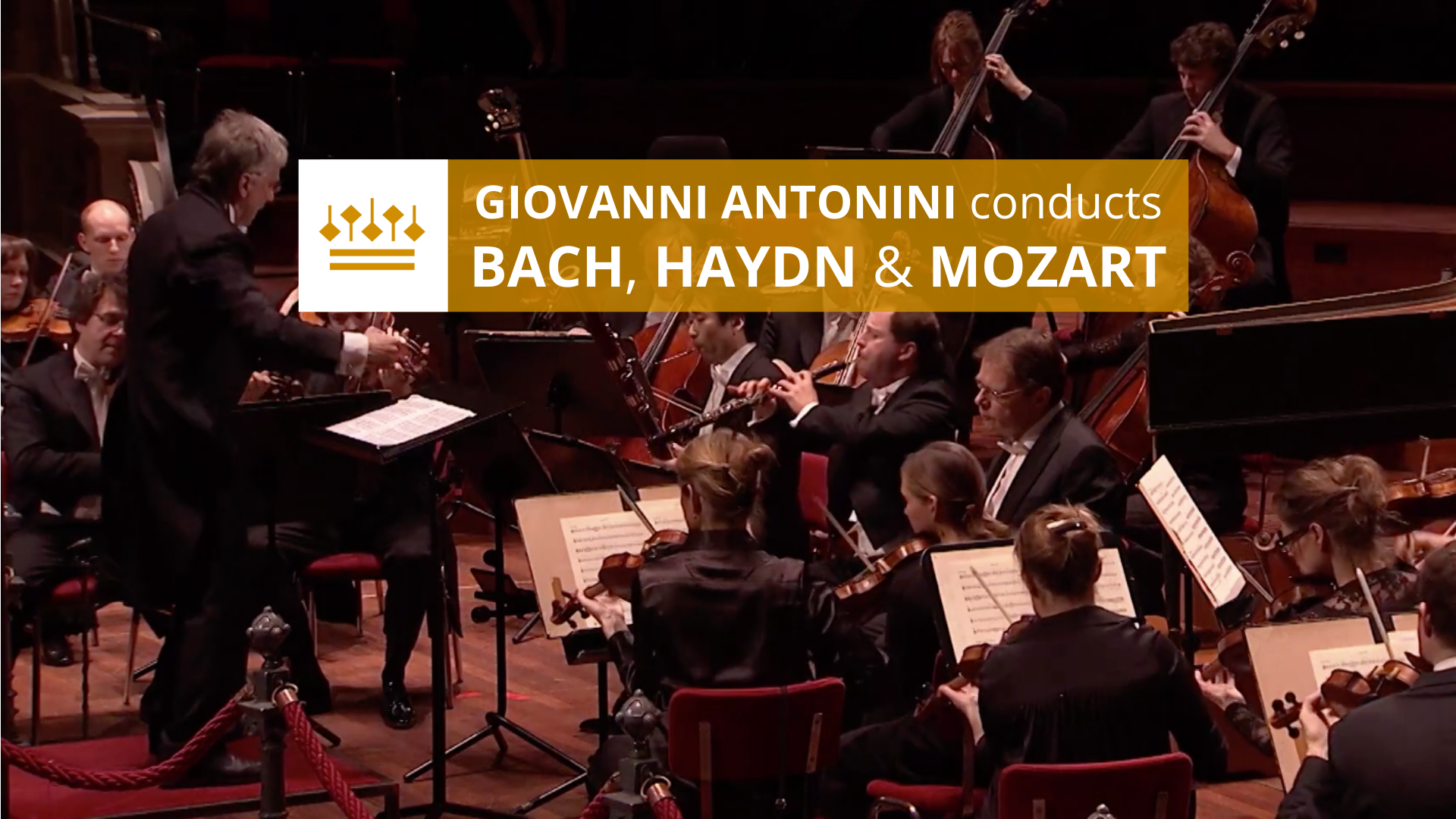 RCO: Antonini Conducts Bach, Haydn & Mozart