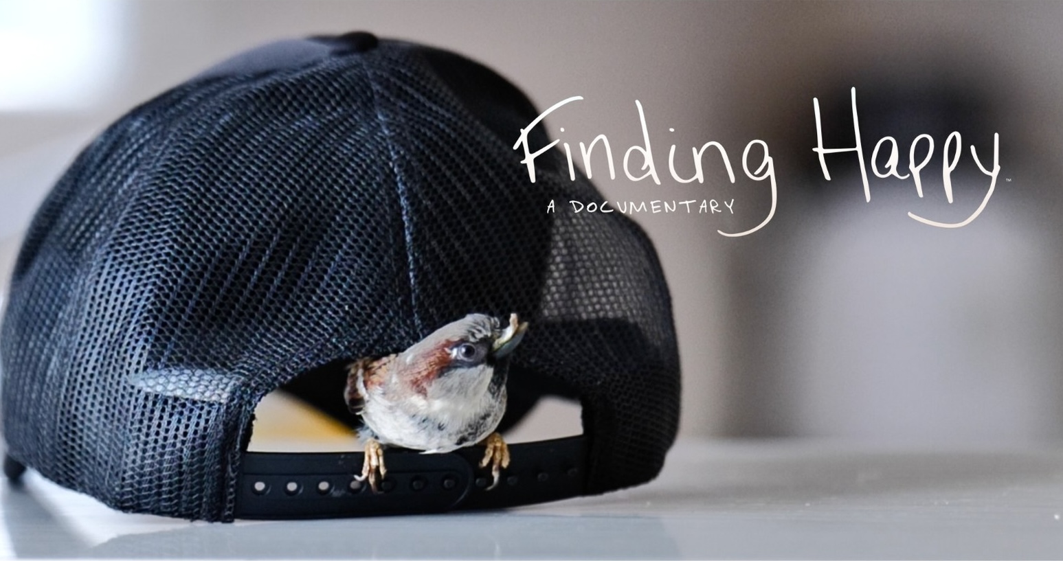 FINDING HAPPY