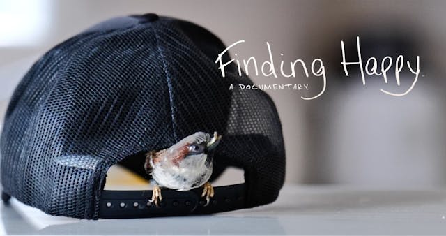 Finding Happy