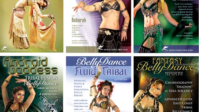 Tribal Fusion Belly Dance Intermediate-Adv. Bunch