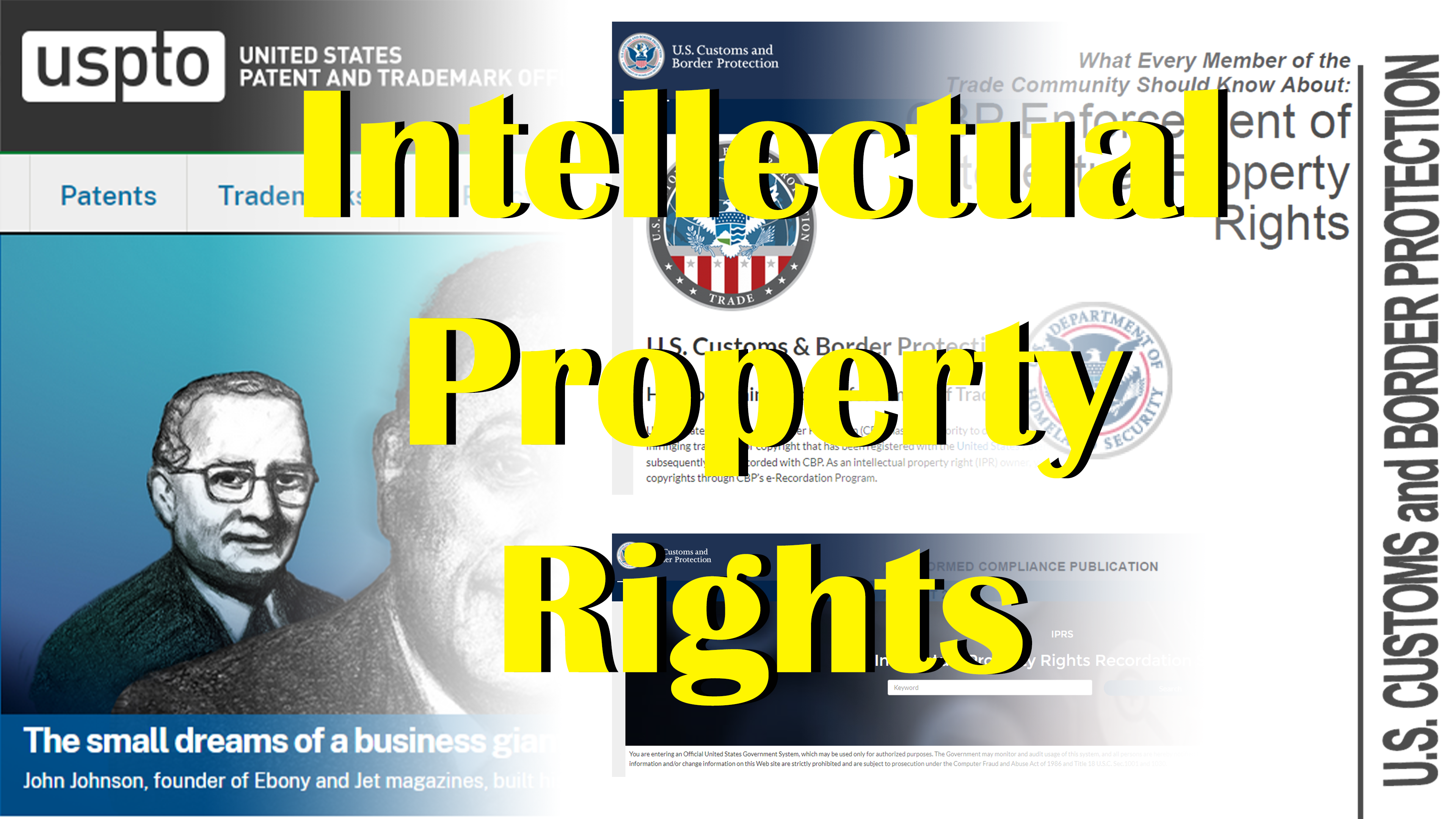 Intellectual Property Rights