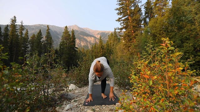 Morning Flow with Yvonne 