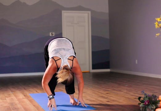 Vinyasa Flow (Forward Folding) with Y...