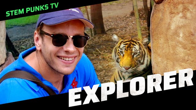 Explore Tigers