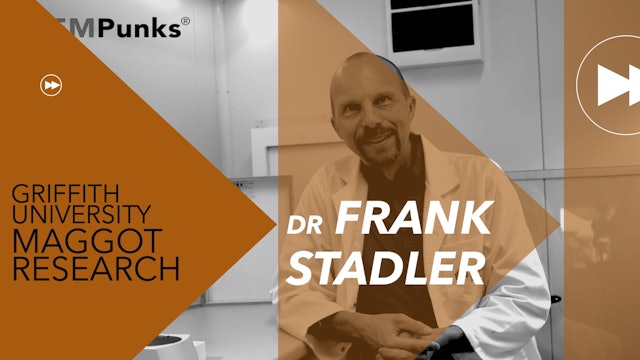 Dr Frank Stadler - Griffith University Maggot Research